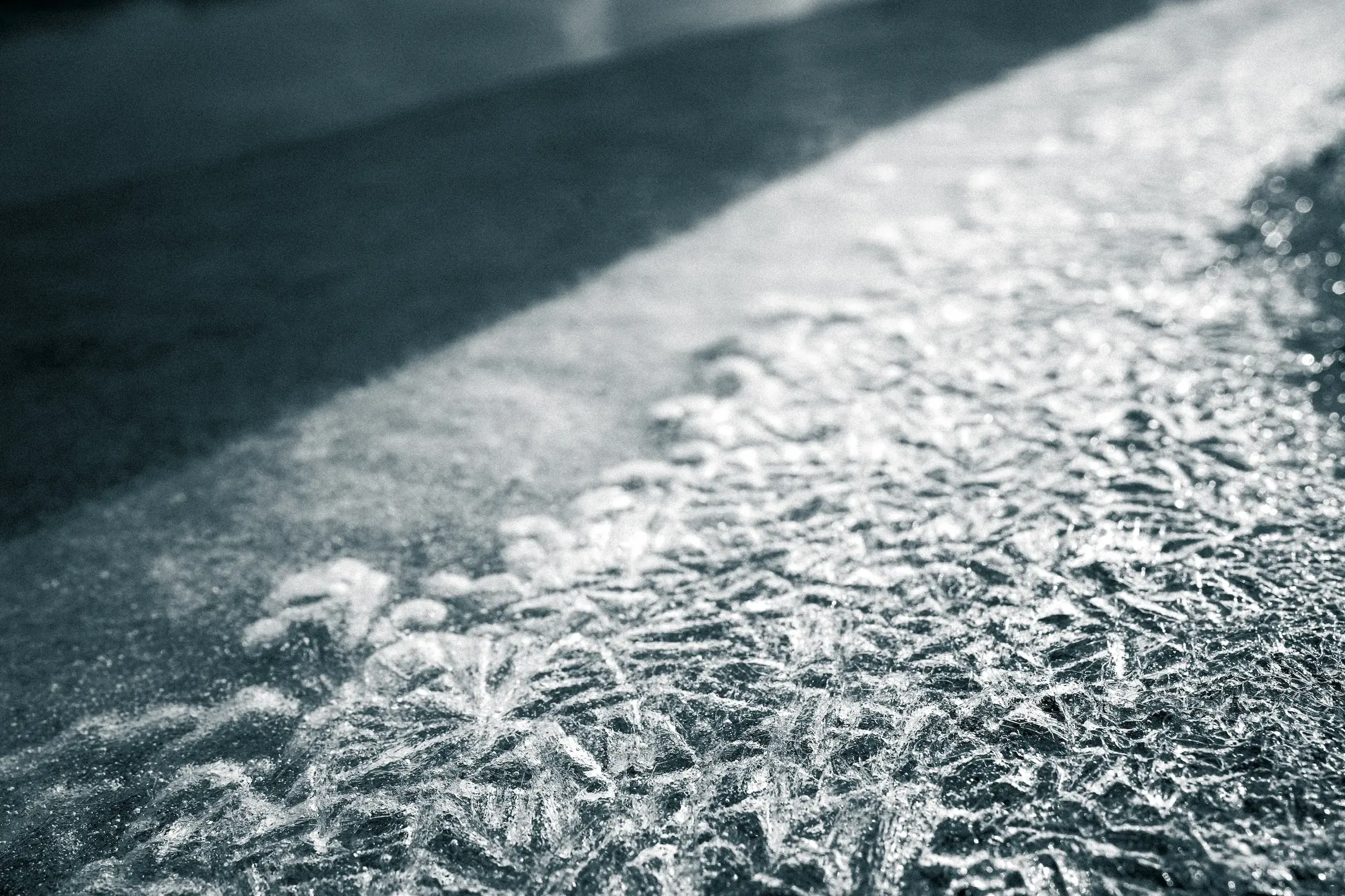 First Frost