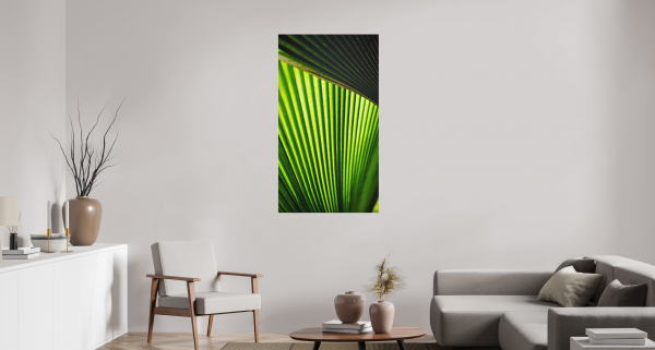 palm leaf, green texture, botanical art, nature photography, tropical decor, organic wall art, modern abstract photography, luxury art, minimalist green prints, plant textures, artistic photography, natural patterns, high-end prints, vibrant photography, exclusive fine art