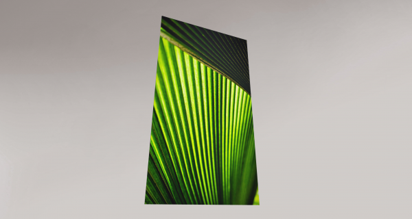 Veins of Vitality - Image 5