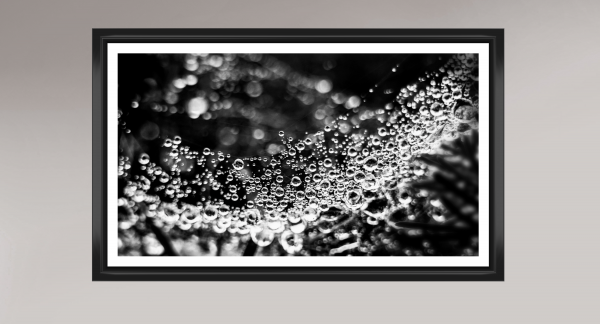black and white macro photography, dewdrops on spider web, abstract nature photography, fine art macro print, monochrome dewdrops, intricate water droplets photo, close-up nature art, black and white wall art, delicate spider web photo, detailed macro nature art, artistic nature photo, dewdrop reflections photography, modern fine art print, macro photography artwork, water droplets abstract art, limited edition nature photo, natural minimalism art, ethereal black and white photo, unique nature photography, macro fine art print