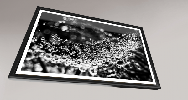 Bubbeling Through Life - Image 4
