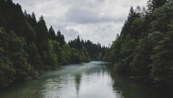misty river, Slovenia landscapes, Bohinjka River photography, fine art nature prints, tranquil forest scenes, pine forest photography, serene landscapes, nature-inspired art, luxury wall décor, river reflections, misty wilderness photography, Slovenia fine art prints, enchanted forest art, calming nature prints, limited edition artwork, premium nature photography