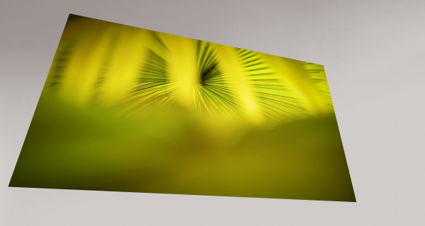 Radiant Harmony - Image 4