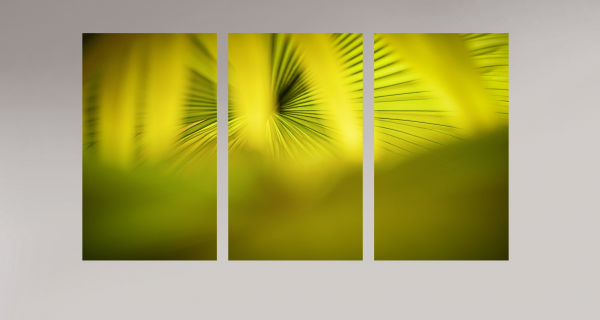 Radiant Harmony - Image 5